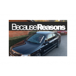 BecauseREASONS